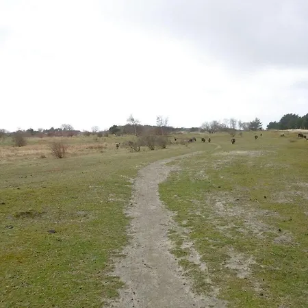Σπίτι διακοπών Sandpiper On Ra¼gen - Formerly Tui