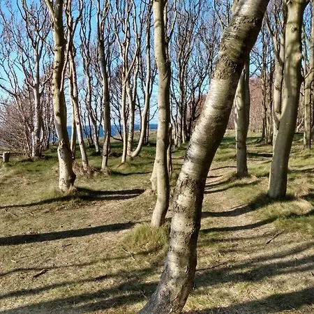 Σπίτι διακοπών Sandpiper On Ra¼gen - Formerly Tui